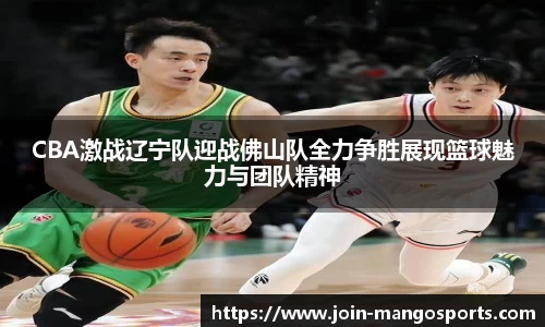 CBA激战辽宁队迎战佛山队全力争胜展现篮球魅力与团队精神